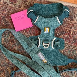 Ruffwear Teal Dog Harness with Matching Leash